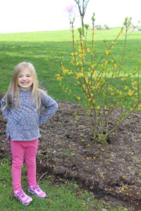 preschool-age girl with budding tree